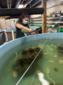 student girl works near large container of water